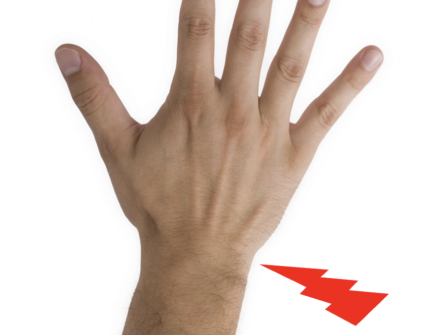 EL FIBROCARTÍLAGO TRIANGULAR